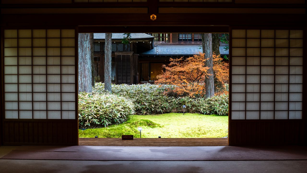 An autumn maple and moss garden framed by the open paper screens of a dark room.