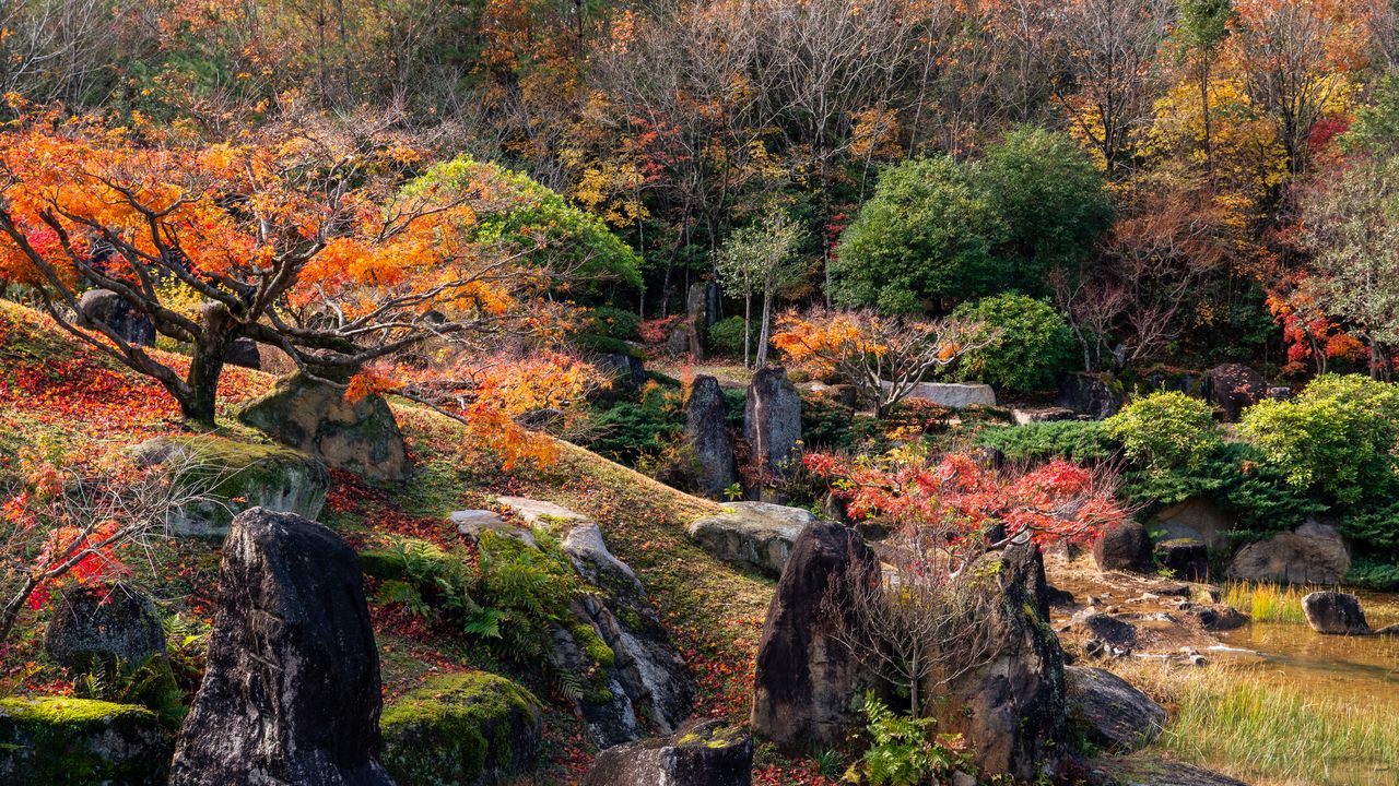 Autumn maples and mossy standing stones on a garden hillside.